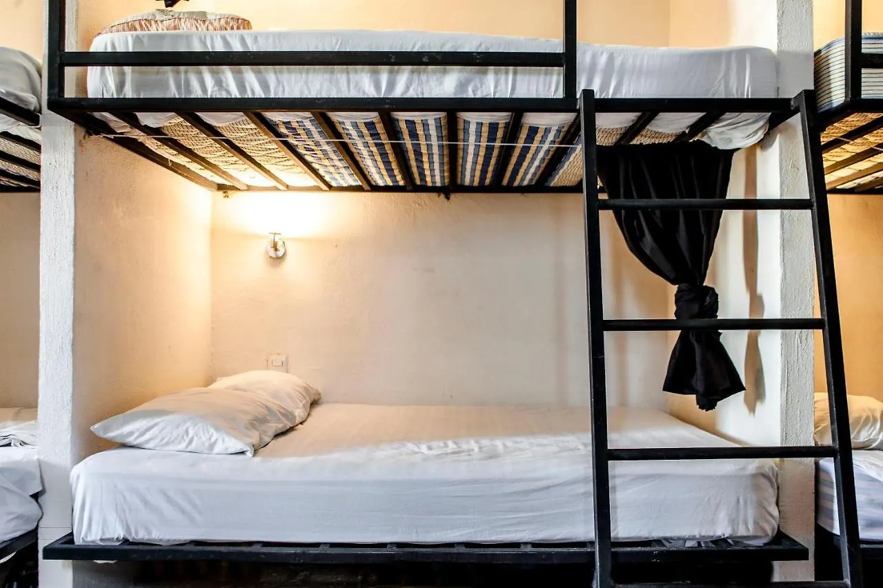旅馆 Hostal Inn 普拉亚卡门