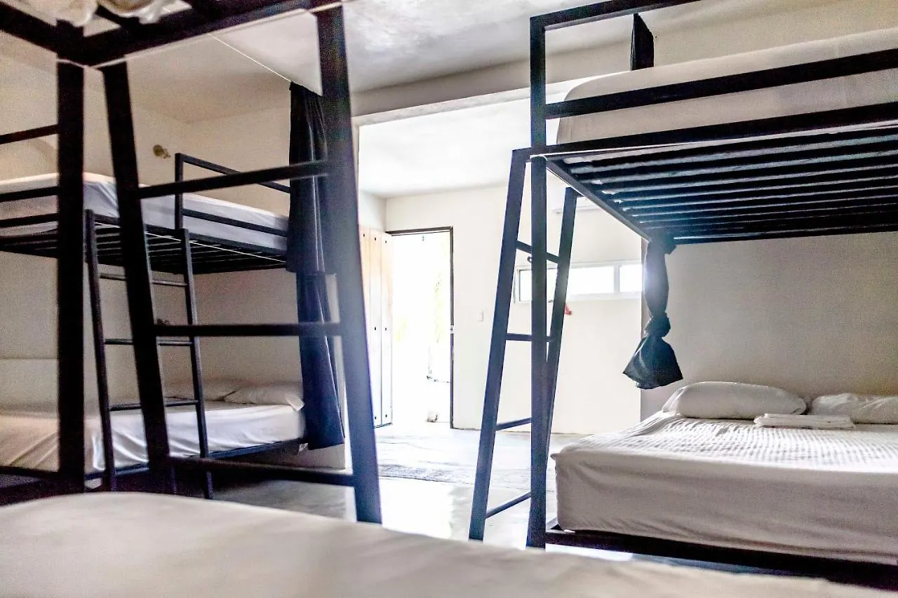 Hostal Inn 普拉亚卡门 旅馆